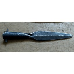 Early medieval spearhead Dublin