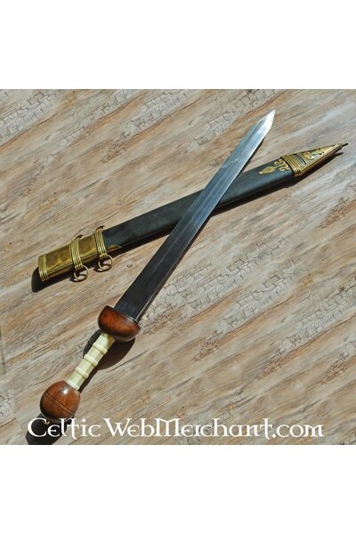 Gladius Noviomagus