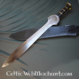 Celtic Hallstatt sword