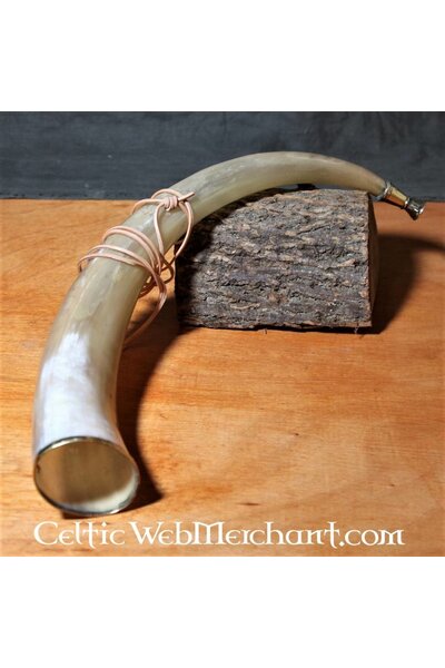 Early medieval signal horn