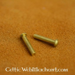 100 brass rivets 10 mm