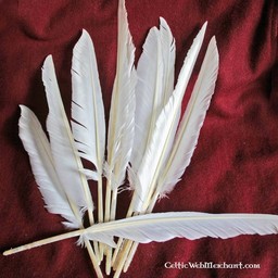Goose feathers set of 10