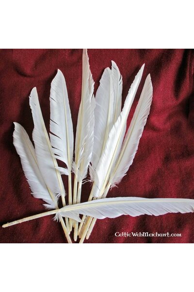 Goose feathers set of 10