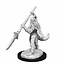 Dungeons and Dragons: Nolzur's Marvelous Miniatures - Bearded Devils