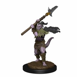 Dungeons and Dragons: Nolzur's Marvelous Miniatures - Bearded Devils