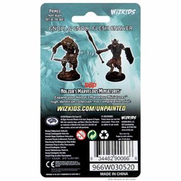 Dungeons and Dragons: Nolzur's Marvelous Miniatures - Gnoll and Gnoll Flesh Gnawer