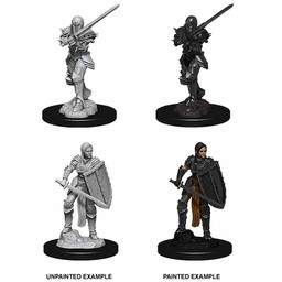 Dungeons and Dragons: Nolzur's Marvelous Miniatures - Female Human Fighter