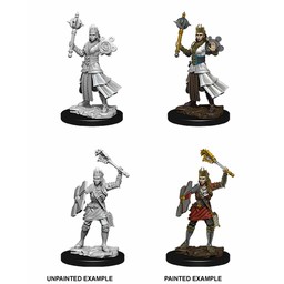 Dungeons and Dragons: Nolzur's Marvelous Miniatures - Human Cleric