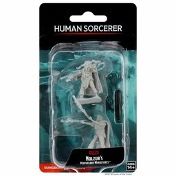 Dungeons and Dragons: Nolzur’s Marvelous Miniatures - Human Male Sorcerer