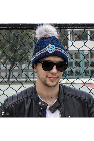 Harry Potter: winter beanie, Ravenclaw
