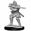 Dungeons and Dragons: Nolzur's Marvelous Miniatures - Male Hobgoblin Fighter and Female Wizard
