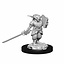 Dungeons and Dragons: Nolzur's Marvelous Miniatures - Male Goblin Rogue and Female Goblin Bard