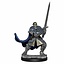 Dungeons and Dragons: Nolzur's Marvelous Miniatures - Male Half-Orc Paladin