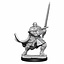 Dungeons and Dragons: Nolzur's Marvelous Miniatures - Male Half-Orc Paladin