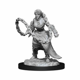 Dungeons and Dragons: Nolzur's Marvelous Minatures - Human Monk Female