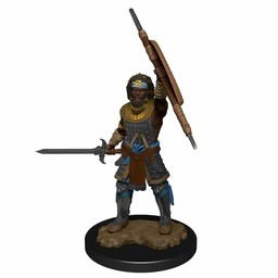 Dungeons and Dragons: Nolzur's Marvelous Miniatures - Human Male Fighter