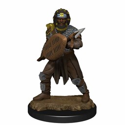 Dungeons and Dragons: Nolzur's Marvelous Miniatures - Human Male Fighter