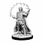 Dungeons and Dragons: Nolzur's Marvelous Miniatures - Male Human Wizard