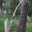 Marksman bow re-enactment / LARP, 70