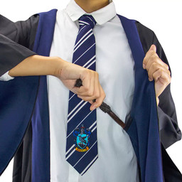 Harry Potter Cosplay: Ravenclaw wizard robe