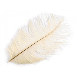 Cream feather, 20-25 cm