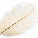 Cream feather, 20-25 cm