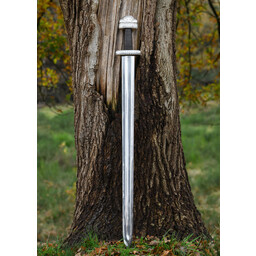Viking sword king Harald with deluxe scabbard and belt