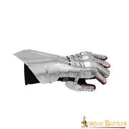 Gothic armor gloves