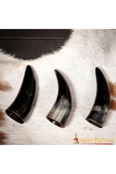 Drinking horn set 100ml