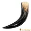 Natural drinking horn 650-1000 ml