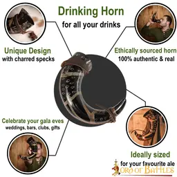 Neolithic drinking horn