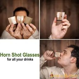 Three horn shot glasses