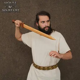 Wooden gladius