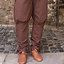 Trousers Wigbold, brown