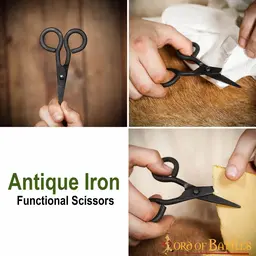 Viking scissors Birka