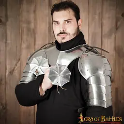 Gothic pauldrons with roundels
