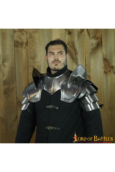 Pauldrons Paladin