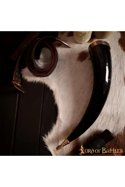 Drinking horn with Celtic knots