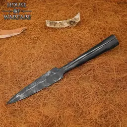 Germanic spearhead