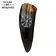 House of Warfare Viking drinking horn with Vegvisir