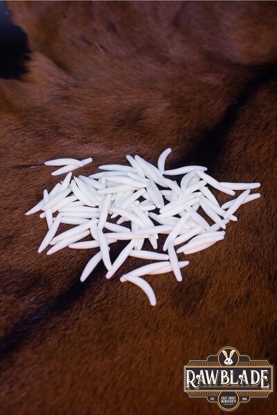 Magical Components - Maggots