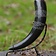 Epic Armoury Drinking horn Tara with Celtic knots, light