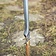 Epic Armoury LARP elven sword 60 cm