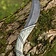 Epic Armoury LARP elven throwing knife