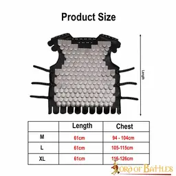 Scale Armor, Lorica Squamata