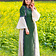 Leonardo Carbone Dress Cleena green-white