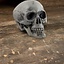 Skull 21 cm