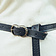 Leonardo Carbone Celtic belt Fionn, black