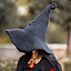 Witch hat, black