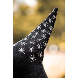 Witch hat, with stars